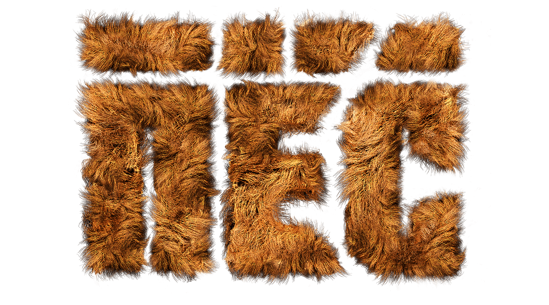 Пёс (сезон 1)