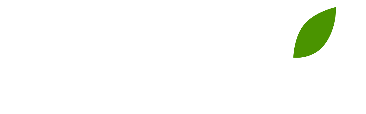 Последний из Магикян (сезон 4)